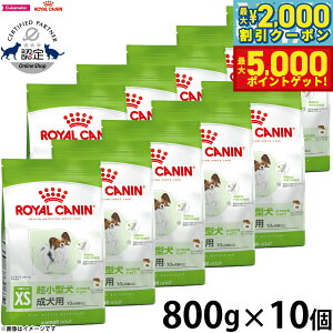 yő2000~OFFN[||Cg+5{zCJi  hbOt[h TCYwXj[gV GNXg X[ A_g 800g×10 Ki ^pt[h p