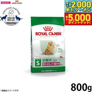 yő2000~OFFN[||Cg+5{zCJi  hbOt[h ~j ChA VjA 800g Ki Ő鏬^p  p