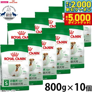 yő2000~OFFN[||Cg+5{zCJi  hbOt[h TCYwXj[gV ~j A_g 8{ 800g×10 Ki ^pt[h p