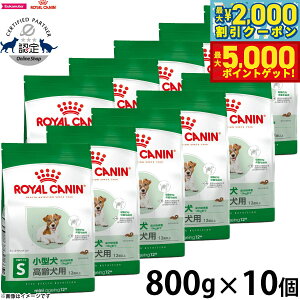 yő2000~OFFN[||Cg+5{zCJi  hbOt[h TCYwXj[gV ~j GCWO 12{ 800g×10 Ki ^pt[h p