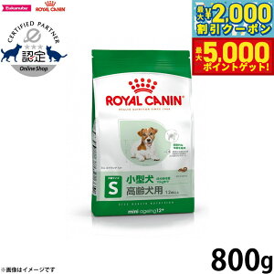 yő2000~OFFN[||Cg+5{zCJi  hbOt[h TCYwXj[gV ~j GCWO 12{ 800g Ki ^pt[h p