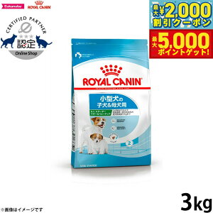 yő2000~OFFN[||Cg+5{zCJi  hbOt[h TCYwXj[gV ~j X^[^[ }U[xr[hbO 3kg Ki ^pt[h qp 