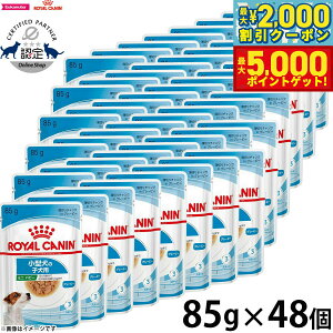 yő2000~OFFN[||Cg+5{zCJi  hbOt[h TCY wX j[gV EFbg ~j ps[ ^pEFbgt[h qp 85g×48 Ki