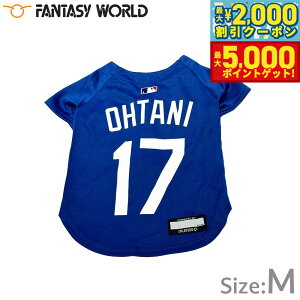 yő2000~OFFN[||Cg+5{zMLBF T[X hW[X JĕI胂f W[W M u[yz  m hbOEFA jtH[ 싅