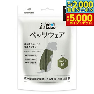 yő2000~OFFN[||Cg+5{zxbc{ xbcEFA p㕞 j̎qp M J[L