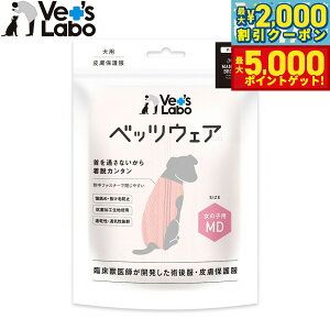 yX|Cgő46{I1118Izxbc{ p xbcEFA p㕞 畆ی앞 ̎qp MD sNyz GUxXJ[  p