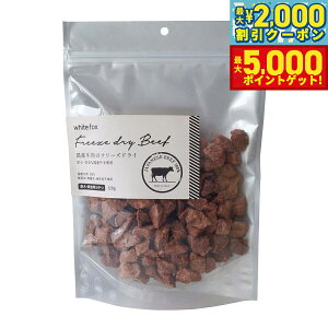 yX|Cgő46{I1118IzzCgtHbNX Ỹt[YhC _CXJbg 120g  L  育 gbsO Y Y F ۑsgp