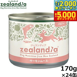 yő2000~OFFN[||Cg+5{zW[fBA hbOt[h ps[ T[[X qp 170g×24 Y sgp OCt[ EFbg ʋl yz