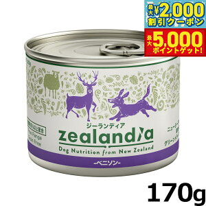 yő2000~OFFN[||Cg+5{zW[fBA hbOt[h OCt[ EFbgt[h xj\ 170g ʋl Y sgp OCt[