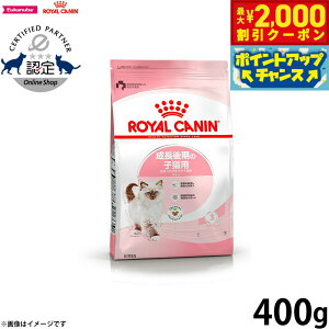 y2000~OFFN[|IX|Cgő55{I{IzCJi L Lbgt[h tB[CwXj[gV Lg 400g Ki ̎qLpt[h