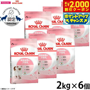 y2000~OFFN[|IX|Cgő55{I{IzCJi L Lbgt[h tB[CwXj[gV Lg 2kg×6 Ki ̎qLpt[h