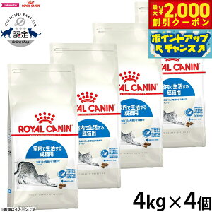 y2000~OFFN[|IX|Cgő55{I{IzCJi L Lbgt[h tB[CwXj[gV ChA 4kg×4 Ki ŐLpt[h 