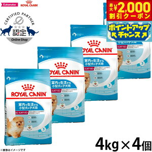 y2000~OFFN[|IX|Cgő55{I{IzCJi  hbOt[h ~j ChA ps[ 4kg×4 Ki Ő鏬^p qp