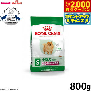 y2000~OFFN[|IX|Cgő55{I{IzCJi  hbOt[h~j ChA A_g 800g Ki Ő鏬^p p