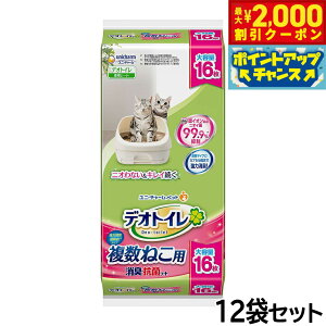 y2000~OFFN[|IX|Cgő55{I{Izj `[ fIgC ˂pL RۃV[g 16×12