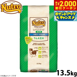 y2000~OFFN[|IX|Cgő55{I{Izj[g i``CX hbOt[h  ^`^ p 13.5kg Y  [NC-AD]