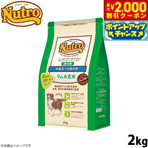 y2000~OFFN[|IX|Cgő55{I{Izj[g i``CX hbOt[h  ^`^ p 2kg Y pi//ybgpi [NC-AD]