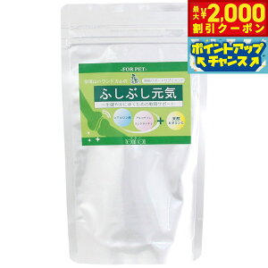 y2000~OFFN[|IX|Cgő55{I{IzO[[hbOA[X Tvg ӂԂCVjA ֐߃PA 50g  ORT~ RhC` qA_ L h{