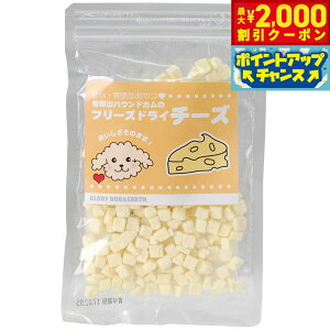 y2000~OFFN[|IX|Cgő55{I{IzO[[hbOA[X  t[YhC`[Y 50g  Y Y L H ӂ肩