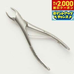 y2000~OFFN[|IX|Cgő55{I{IzˎRnEhJ  Lp Ύ y`   f^PA z[PA L vp yz