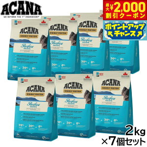 y2000~OFFN[|IX|Cgő55{I{IzAJi ACANA hbOt[h nCGXgveC pVtBJhbOVs S SNp sgp 2kg×7Zbg