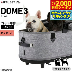 y2000~OFFN[|IX|Cgő55{I{IzGAoM[ h[3 Rbg GAoM[ P [W LbgyzAIRBUGGY ybgJ[g  L AD2505