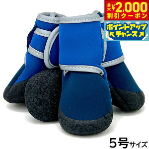 y2000~OFFN[|IX|Cgő55{I{IzACu PAW V I P 5 fB[vu[ p u[c C C Xbvh~ ی