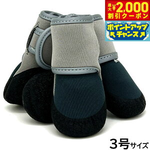 y2000~OFFN[|IX|Cgő55{I{IzACu PAW V I P 3 bNO[ p u[c C C Xbvh~ ی