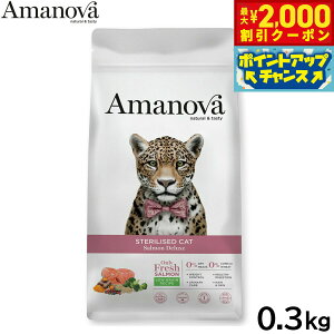 y2000~OFFN[|IX|Cgő55{I{IzA}mo Amanova Lbgt[h XeACYh Lbg T[ fbNX hCt[h DELp  0.3kg Y ~