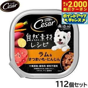 y2000~OFFN[|IX|Cgő55{I{IzV[U[ hbOt[h gC p RfރVs ܂ ɂ񂶂 85g×112Zbgyz ʋl