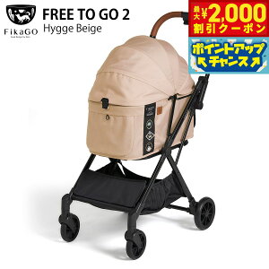 y2000~OFFN[|IX|Cgő55{I{IzRybg ybgJ[g tBJS[ t[gDS[2 qbQx[W Rr combi J[g