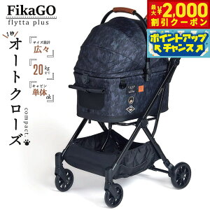 y2000~OFFN[|IX|Cgő55{I{IzRybg tBJS[ tb^vX ybgJ[g ubNJt[W