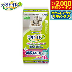 y2000~OFFN[|IX|Cgő55{I{Izj `[ fIgC ˂p ӂ荁L RۃV[g i`K[f̍ 16 Lp VXegC