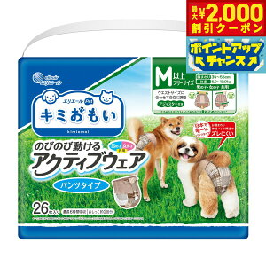 y2000~OFFN[|IX|Cgő55{I{IzGG[ L~ ANeBuEFA M-L 26