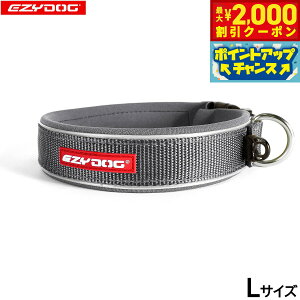 y2000~OFFN[|IX|Cgő55{I{IzC[W[hbO EZYDOG lIJ[ L OC  EFbgX[cf  ^