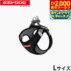 y2000~OFFN[|IX|Cgő55{I{IzC[W[hbO EZYDOG bVtBbgn[lX L ubN ȒP  \tgf