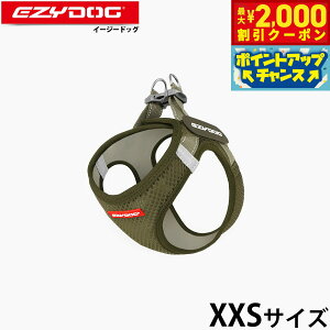 y2000~OFFN[|IX|Cgő55{I{IzC[W[hbO EZYDOG bVtBbgn[lX XXS O[ ȒP  \tgf