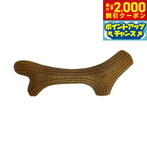 y2000~OFFN[|IX|Cgő55{I{IzGiGwi p[tFNgAg[ S ̂ 