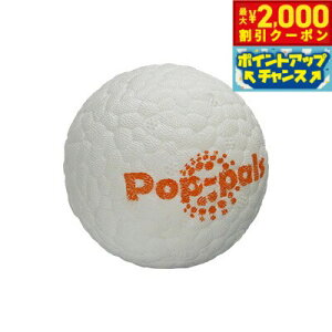 y2000~OFFN[|IX|Cgő55{I{IzGiGwi |bvp S ̂ {[