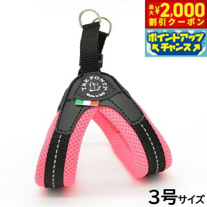 y2000~OFFN[|IX|Cgő55{I{Izg|eB TREPONTI tBbrA \tgbV ^pn[lX 3 sN