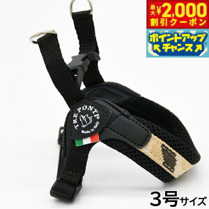 y2000~OFFN[|IX|Cgő55{I{Izg|eB TREPONTI tBbrA AWX^u^Cv yj[RNV n[lX 3 fU[gJ