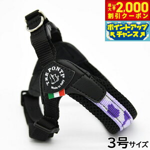 y2000~OFFN[|IX|Cgő55{I{Izg|eB TREPONTI tBbrA AWX^u^Cv yj[RNV n[lX 3 p[vJ