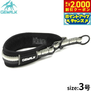 y2000~OFFN[|IX|Cgő55{I{IzWEH[N GEWALK n[t`[Niցj 3 ubN