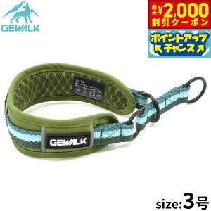 y2000~OFFN[|IX|Cgő55{I{IzWEH[N GEWALK n[t`[Niցj 3 O[