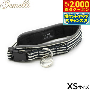 y2000~OFFN[|IX|Cgő55{I{IzWF Gemelli Rۑ@\XgCvJ[ XS lCr[ 