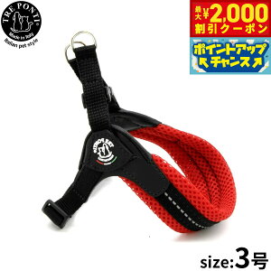 y2000~OFFN[|IX|Cgő55{I{Izg|eB TRE PONTI tBbrA AWX^u^Cv \tgbV n[lX 3 bh