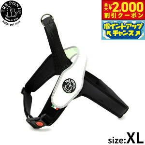 y2000~OFFN[|IX|Cgő55{I{Izg|eB TRE PONTI v tNeBu n[lX XL ~g