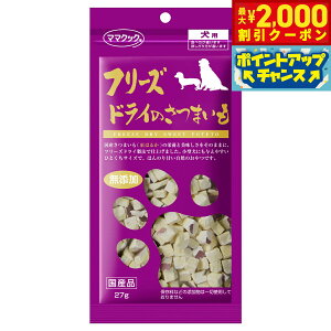 y2000~OFFN[|IX|Cgő55{I{Iz}}NbN t[YhĈ܂ p 27g