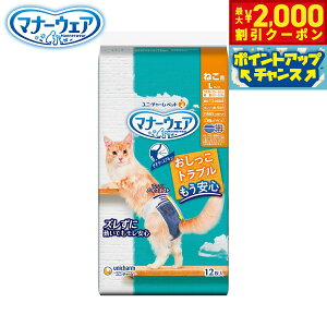 y2000~OFFN[|IX|Cgő55{I{Izj `[ }i[EFA ˂p L 12 }i[pc ނ Lp