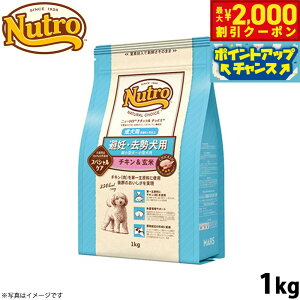 y2000~OFFN[|IX|Cgő55{I{Izj[g i``CX hbOt[h D p p `L 1kg Y pi ybgObY ybgpi [NC-